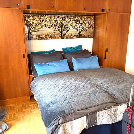 Mein * 巴德加斯坦