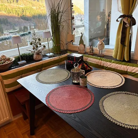 Mein 公寓 巴德加斯坦