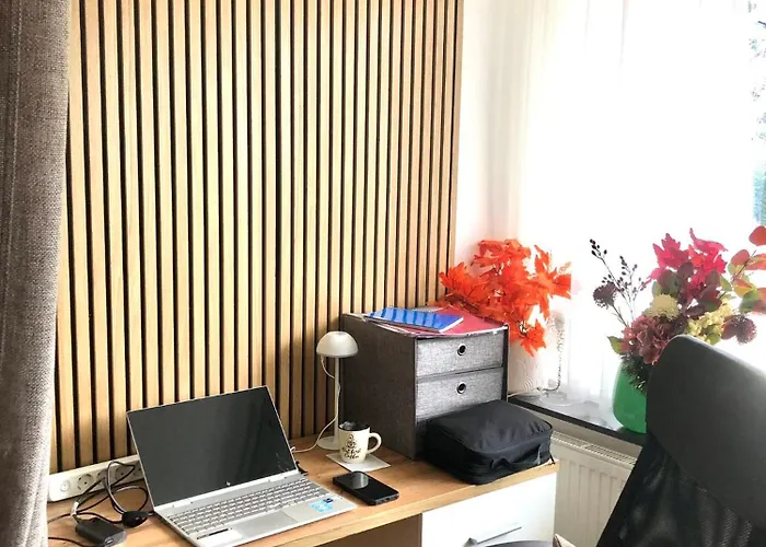 公寓 Mein 巴德加斯坦